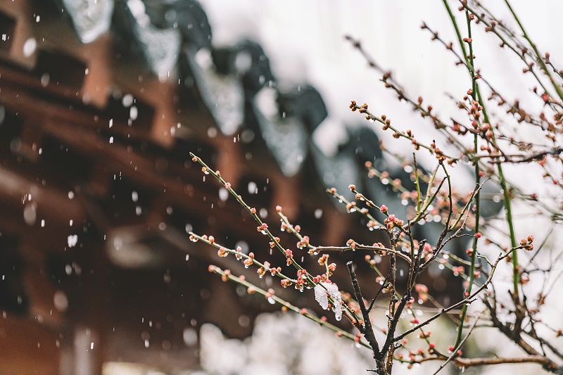 攝圖網(wǎng)_500809939_中式古典園林中的雪景（非企業(yè)商用）